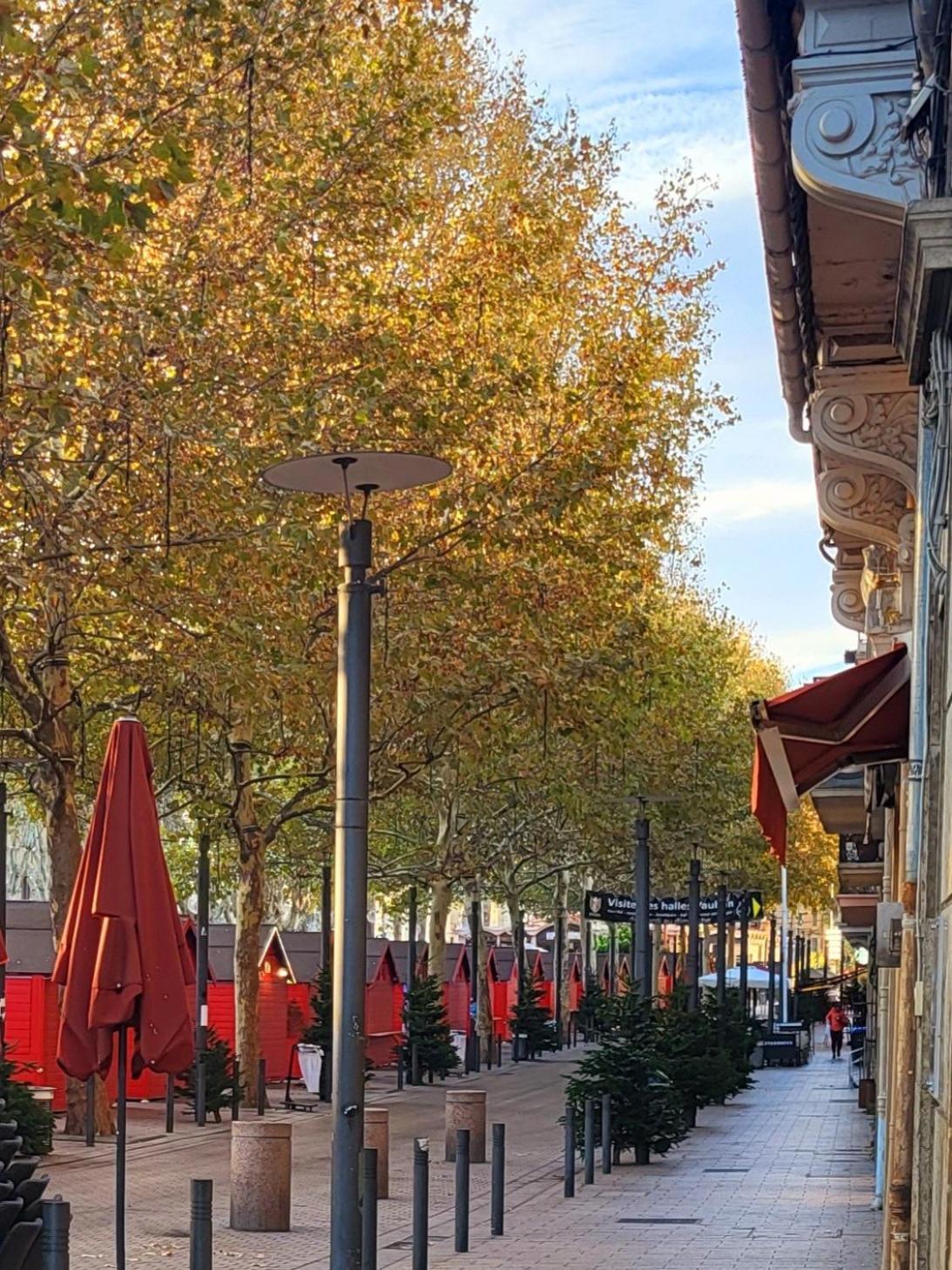 Superbe Batisse De Caractere, Coeur De Ville Perpignan Exteriör bild